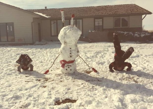 Snowman